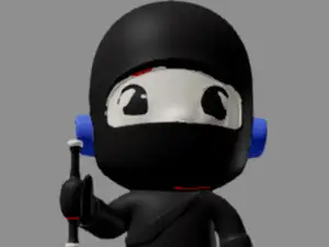 Ninja