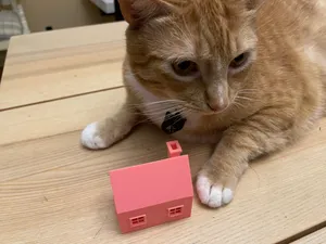 3d village house - my first model