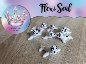 Flexi Seal