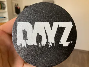 DayZ coaster