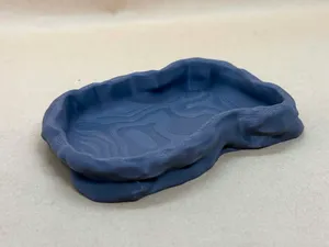 Natural Reptile Bath & Feeding Bowl