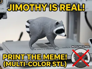 Jimothy the Raccoon | Viral Meme (Multi-Color)