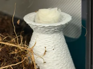 Jumping Spider Water Bowl