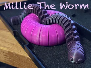 Worm Slider Fidget