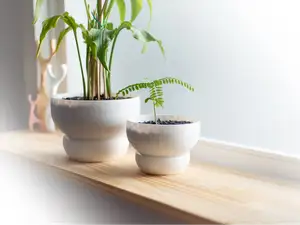Plant Pot with Large Water Reservoir - 2 Sizes