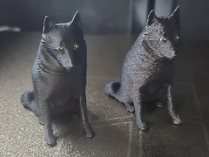 Schipperke