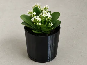 A flowerpot with a self-watering function