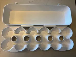 12 Egg Carton