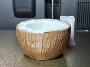 Kokosnussschale