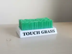 Touch Grass