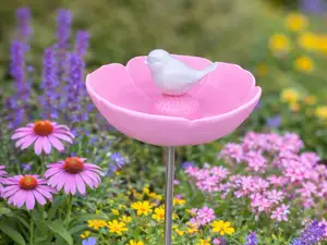 Vogelbad Vogeltränke Vogel Blume