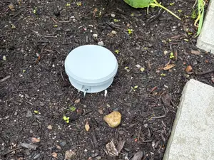 Slug Trap