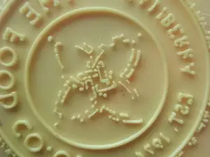 stencil