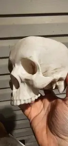 Skull Bowl