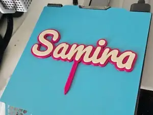 Custom Font Text (Use as Cake Topper or Standing)