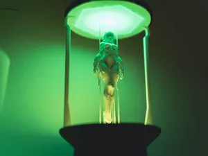 Kasumi – Fallen Princess of Shadows String Lamp