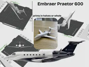Embraer Praetor 600 - Private Jet (1:120 scale)