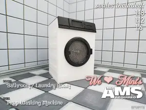 WLM - Prop Washing Machine