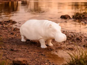 Hippopotamus - Animal from Africa - Hippo
