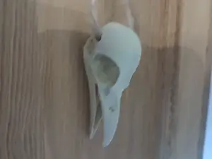 Hanger Crowskull