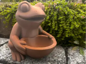 Der dicke Frosch und die Ruhe im Garten