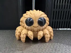 Jumping Spider