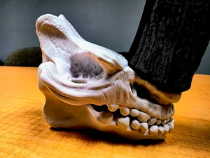 Mudhorn Skull Mandalorian