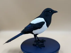 Midnight Mischief Magpie
