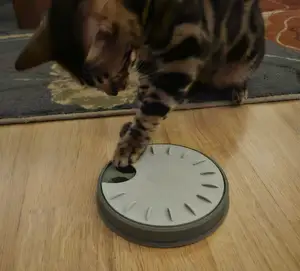Treat wheel cat puzzle feeder