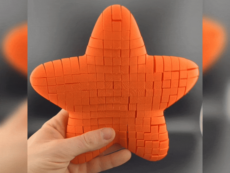 Ocean Motion: Flexi Starfish!