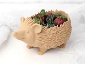 Hedgehog Planter / Bowl