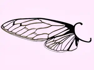 Fairy Ears - Ear cuff