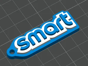 smart portachiavi