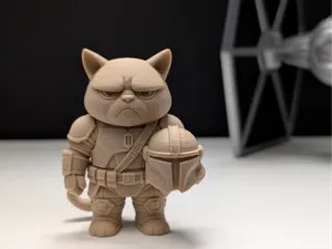 Grumpy Cat Mandalorian