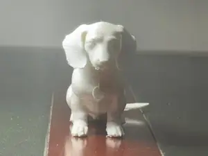 Cachoro - Salsicha