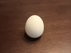 Egg