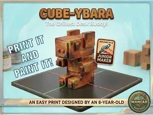 CUBE-YBARA