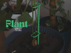 Wavy Plant Support for Seedlings