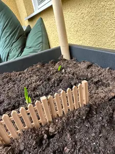 Garden Fence Pot Divider
