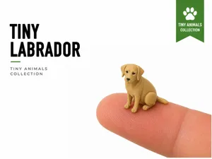 Tiny Labrador - Mini Animals Series