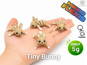 Tiny Bunny