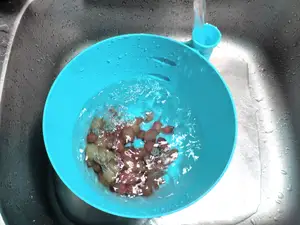 FruitVortex Lavador Eficiente de Frutas y Verduras