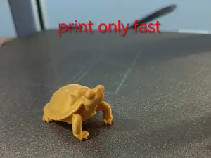Mini turtle