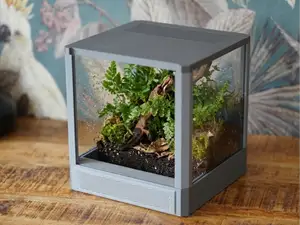 Terrarium for Jumping Spider - 7"x7"x7"
