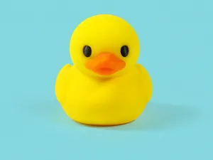 Rubber Ducky