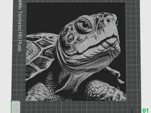 TORTU 200X200
