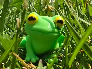 3DL Frog