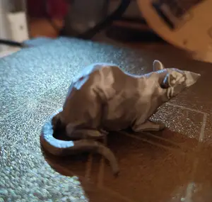 Low Poly Rat