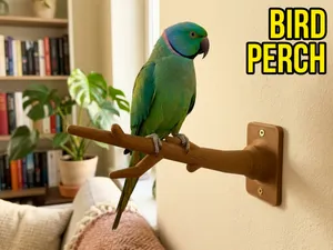 Wooden-Like Tree Branch Bird Perch