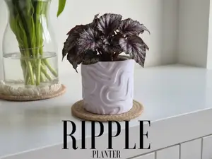 Ripple Planter | Modern Wavy Plant Pot Cover